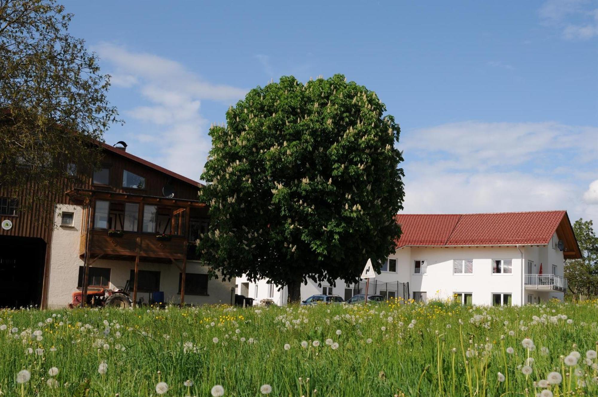 Ferienhof Hopfgärtle Müller Bodnegg Exterior foto